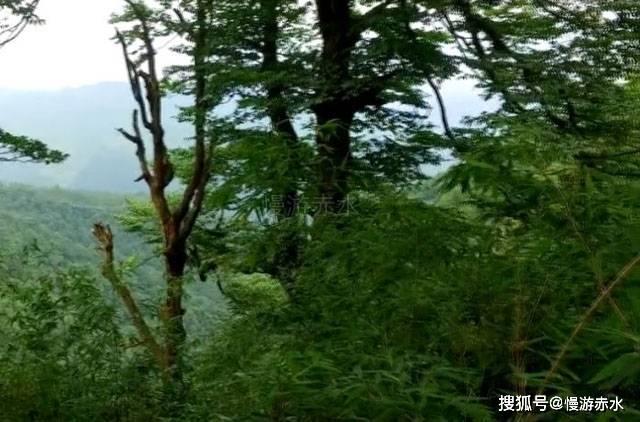 港股异动|波司登盘中涨超5% 寒潮来袭销量有望大增 机构扎推唱好