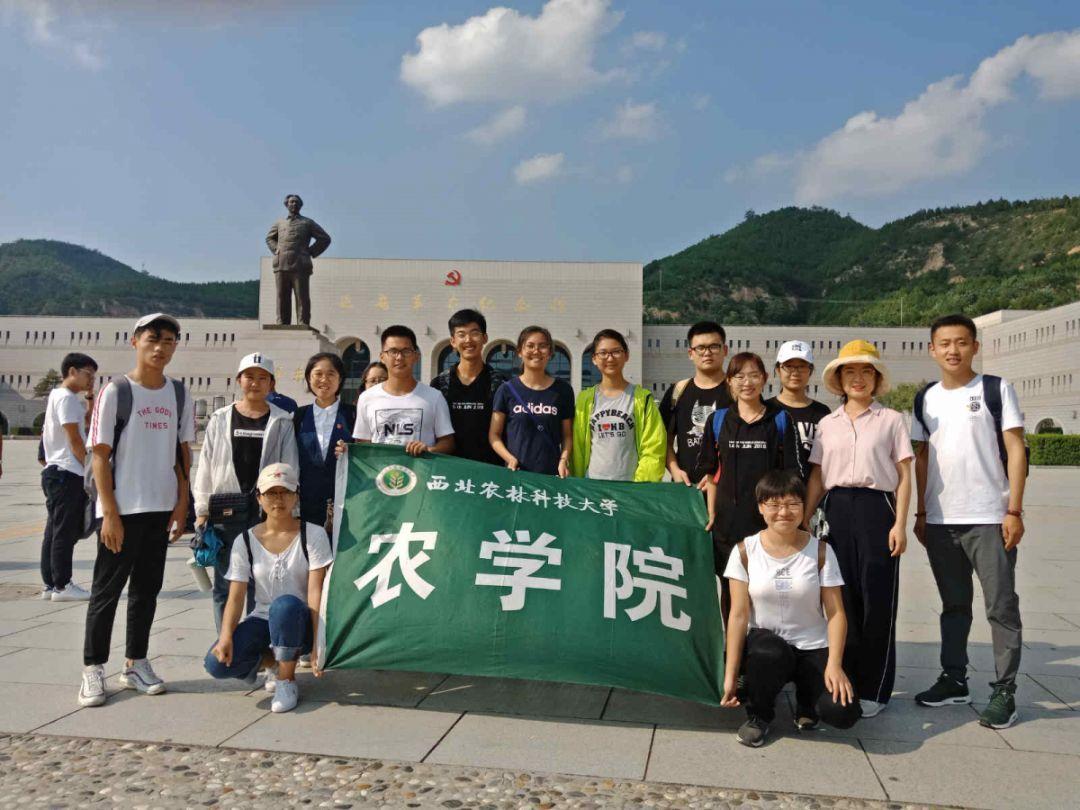 芭比娃娃的服装