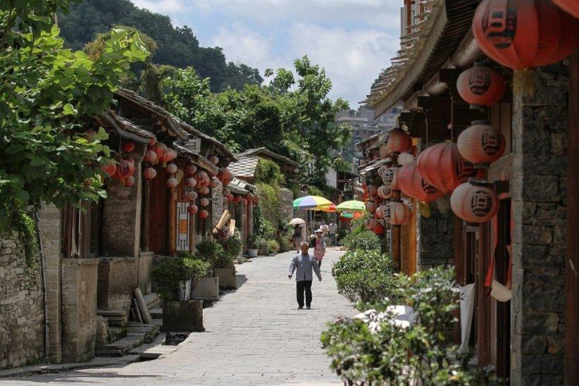 植物大战僵尸7